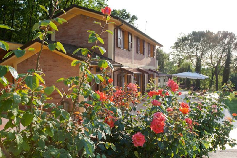 Agriturismo Di Paterno Sarzana Kültér fotó